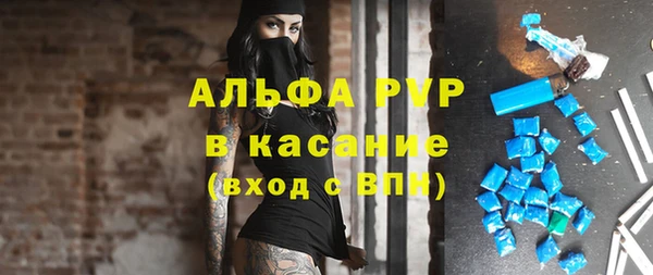 крисы Алзамай