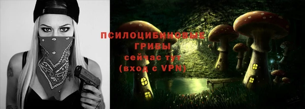 крисы Алзамай