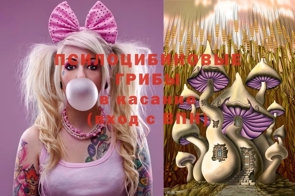 крисы Алзамай
